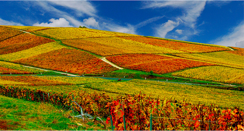 Top 10 địa điểm đẹp nhất nước Pháp