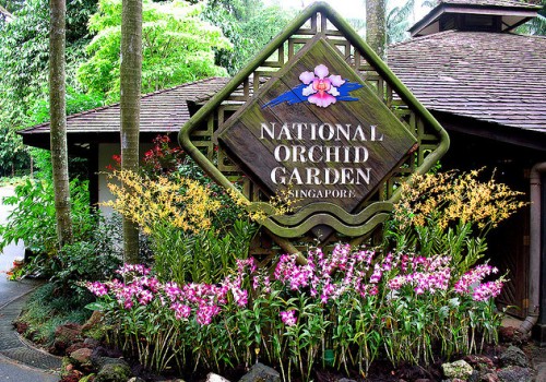 Dạo bước vào những khu vườn nổi tiếng nhất thế giới