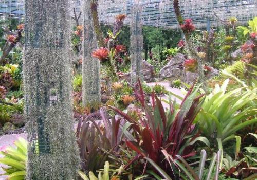 Dạo bước vào những khu vườn nổi tiếng nhất thế giới