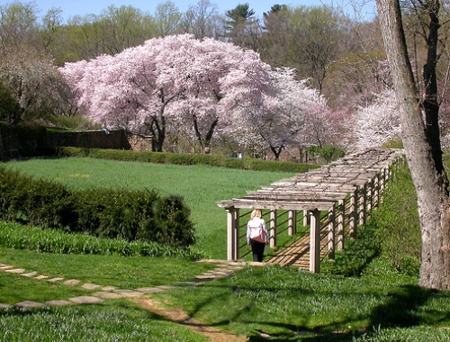 Dạo bước vào những khu vườn nổi tiếng nhất thế giới